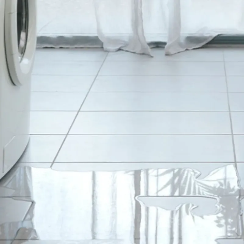 Appliance Leak Cleanup in Crestwood, IL
