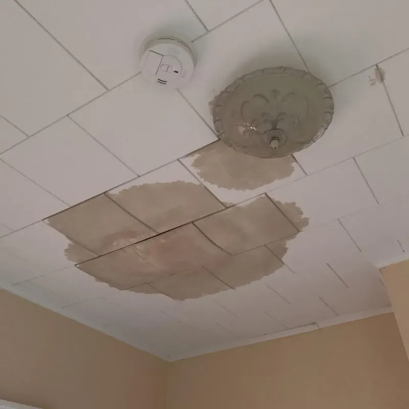 Ceiling Water Damage Repair in Crestwood, IL
