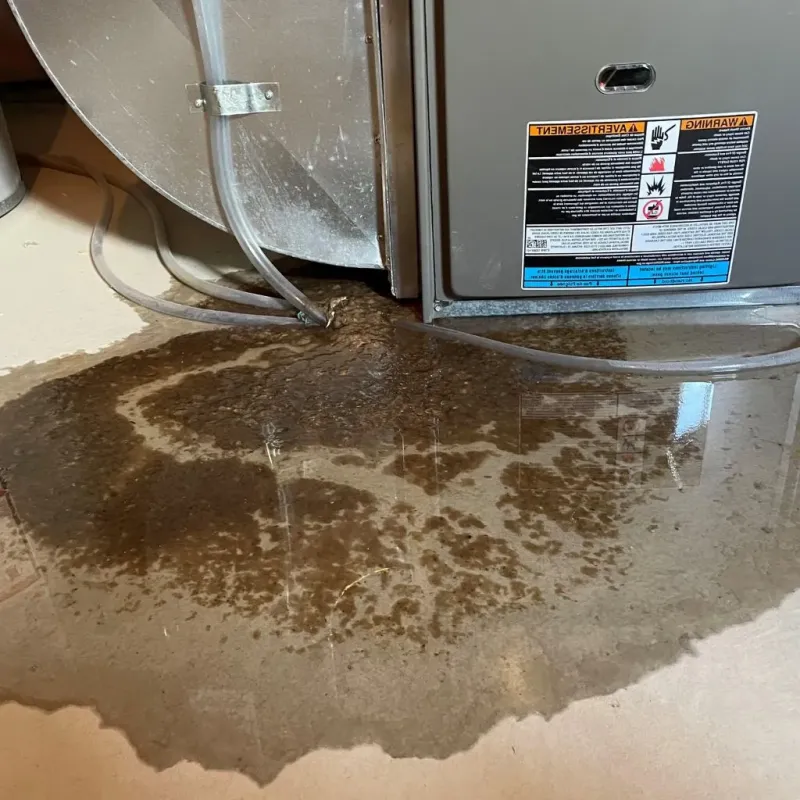 Pipe Burst and Leak Restoration in Crestwood, IL