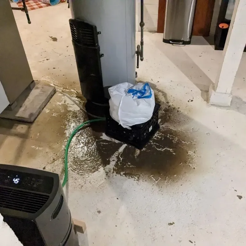 Sewage Backup Cleanup Service in Crestwood, IL